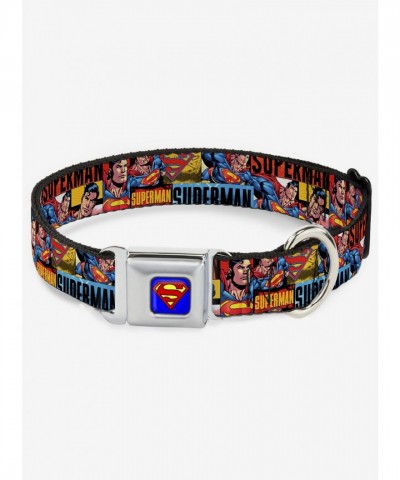 DC Comics Justice League Superman Seatbelt Buckle Dog Collar