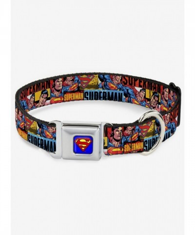 DC Comics Justice League Superman Seatbelt Buckle Dog Collar