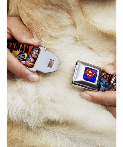 DC Comics Justice League Superman Seatbelt Buckle Dog Collar